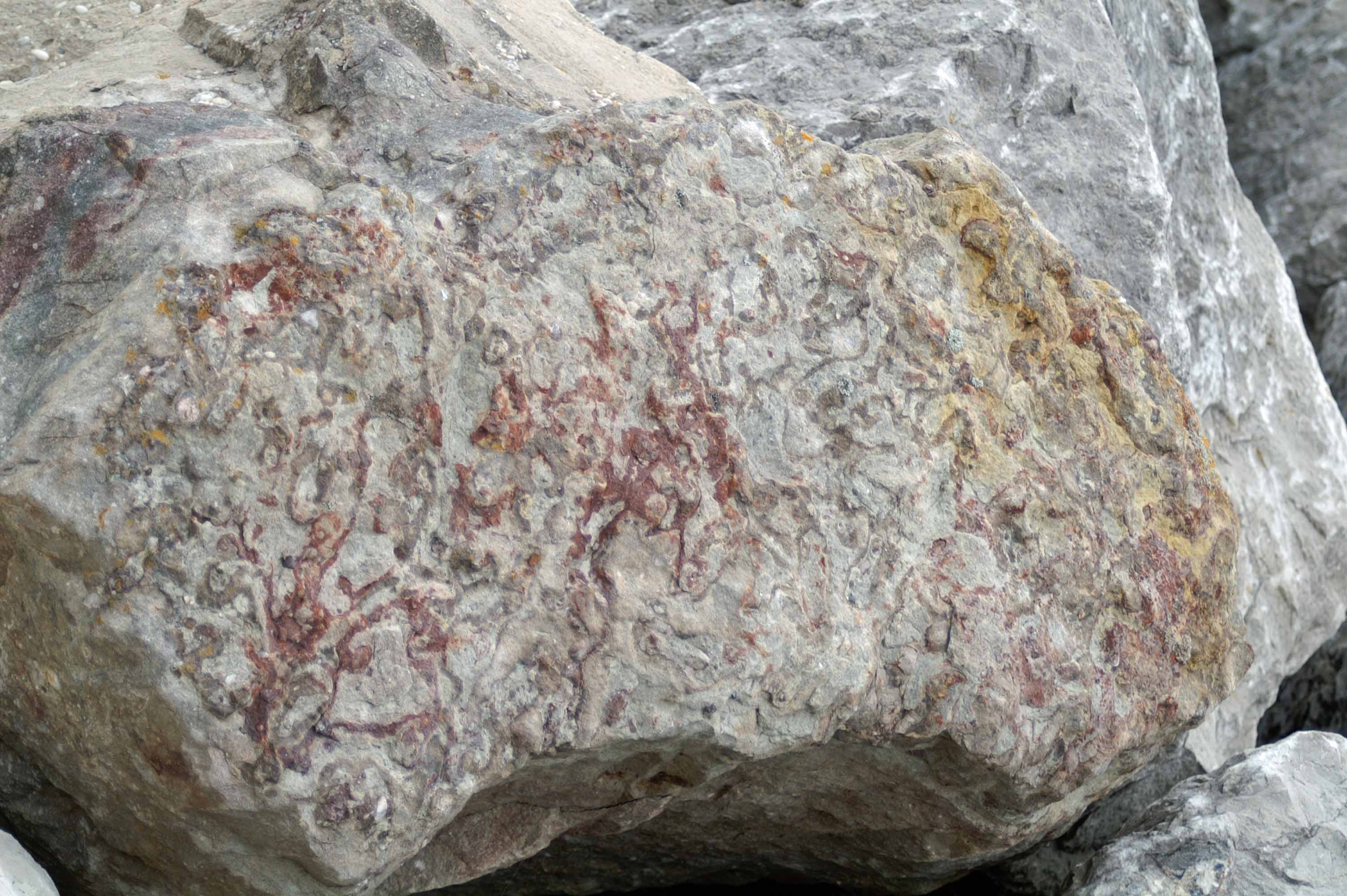 limestone-rock-with-pink-swirls.jpg limestone-rock-with-pink-swirls.jpg