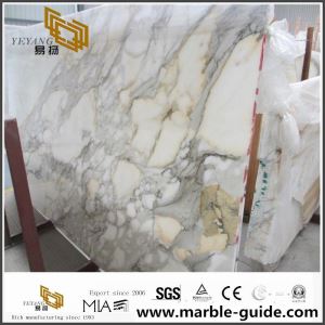 Calacatta White Marble Slab Untuk Flooring Bilik mandi Countertops Tile Dengan Harga Murah
