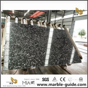 Marmer Slab High Polished Sea Shell
