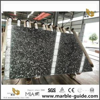 Marmer Slab High Polished Sea Shell