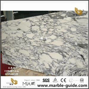 Arabescato Marble Slabs