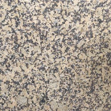 Batu granit kuning Chrysanthemum